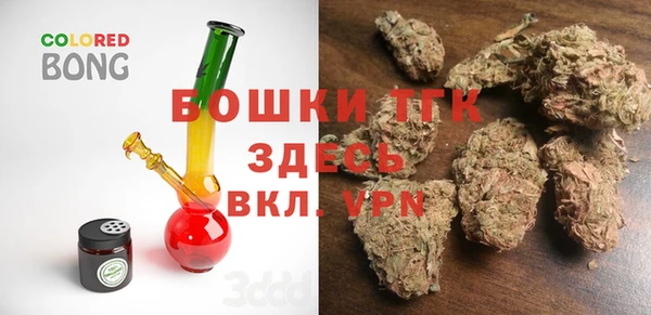 дживик Переславль-Залесский